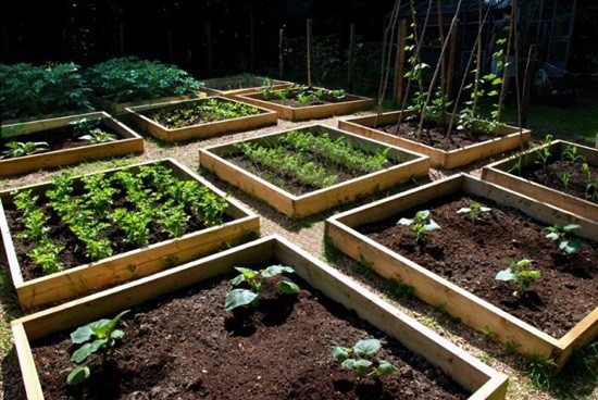 Как упростить уход за садом и огородом. Инструкция для дачного «лентяя»
