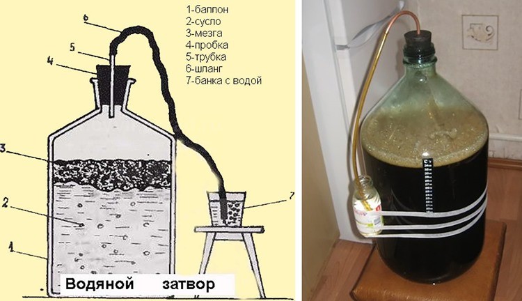 водяной затвор для вина схема + фото