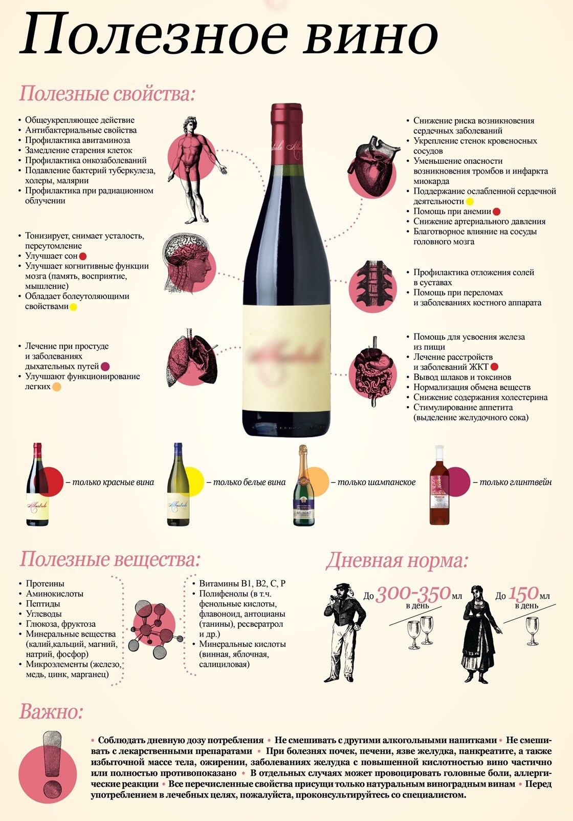 Домашнее вино из винограда: простой рецепт