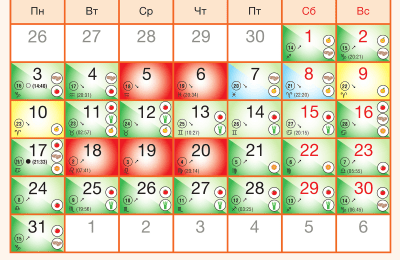 Календарь посадки цветов в июне 2024 года