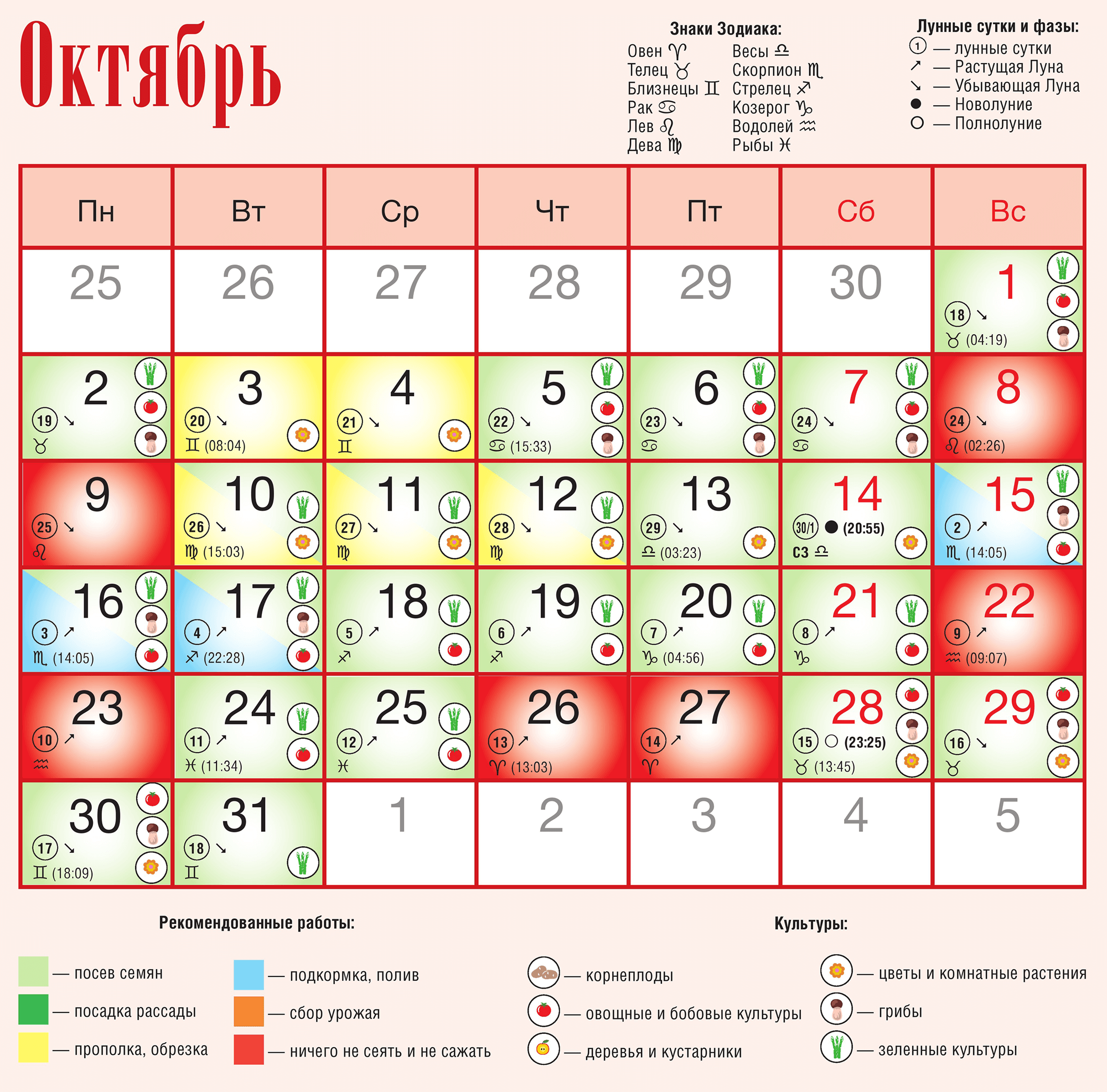 Лунный календарь на октябрь - посадка лука