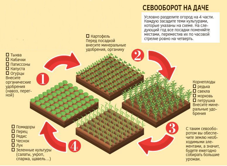 Увеличение урожайности и здоровья почвы