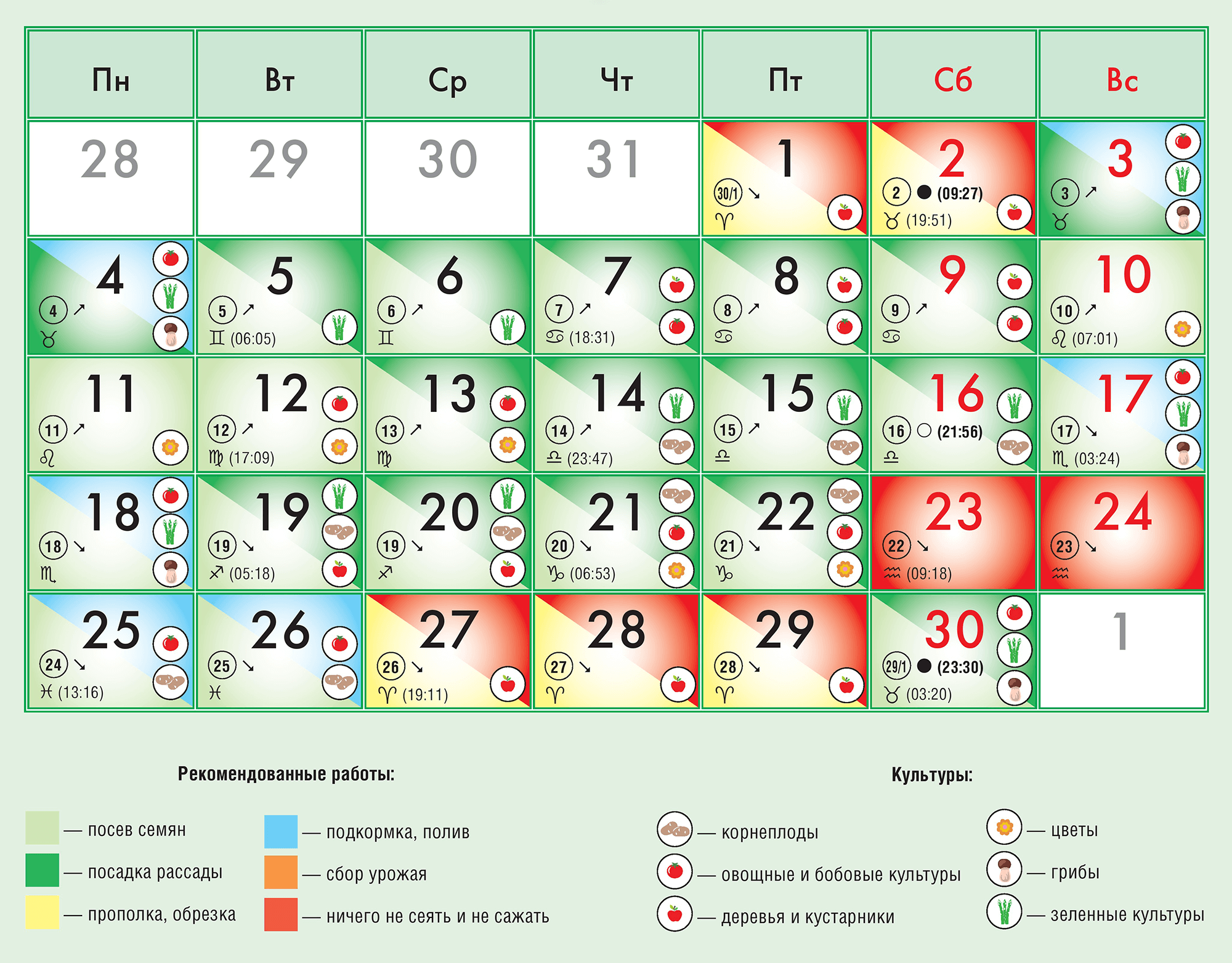 Пересадка растений в апреле по лунному календарю
