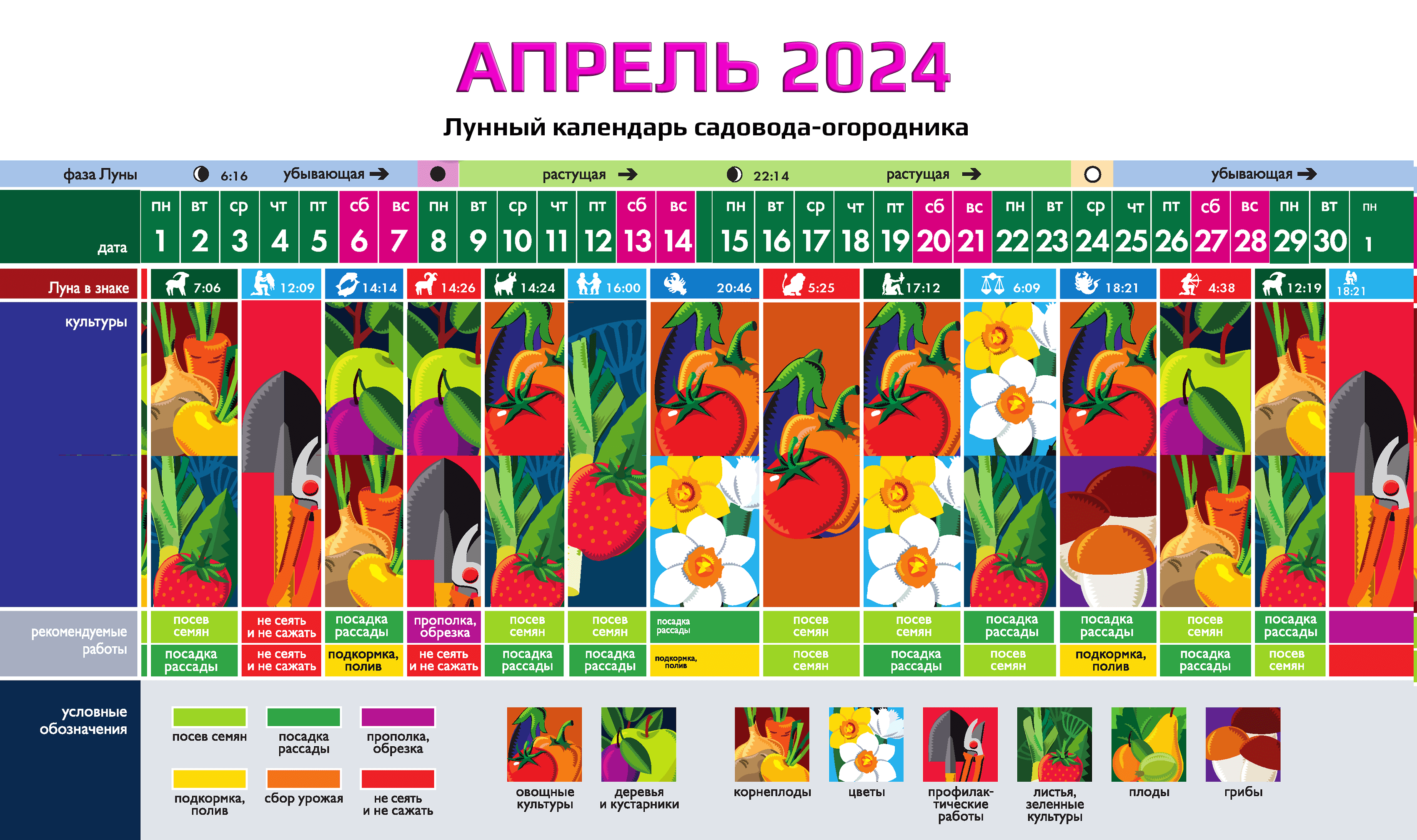 Лунный календарь комнатных растений и цветов на апрель 2024 года