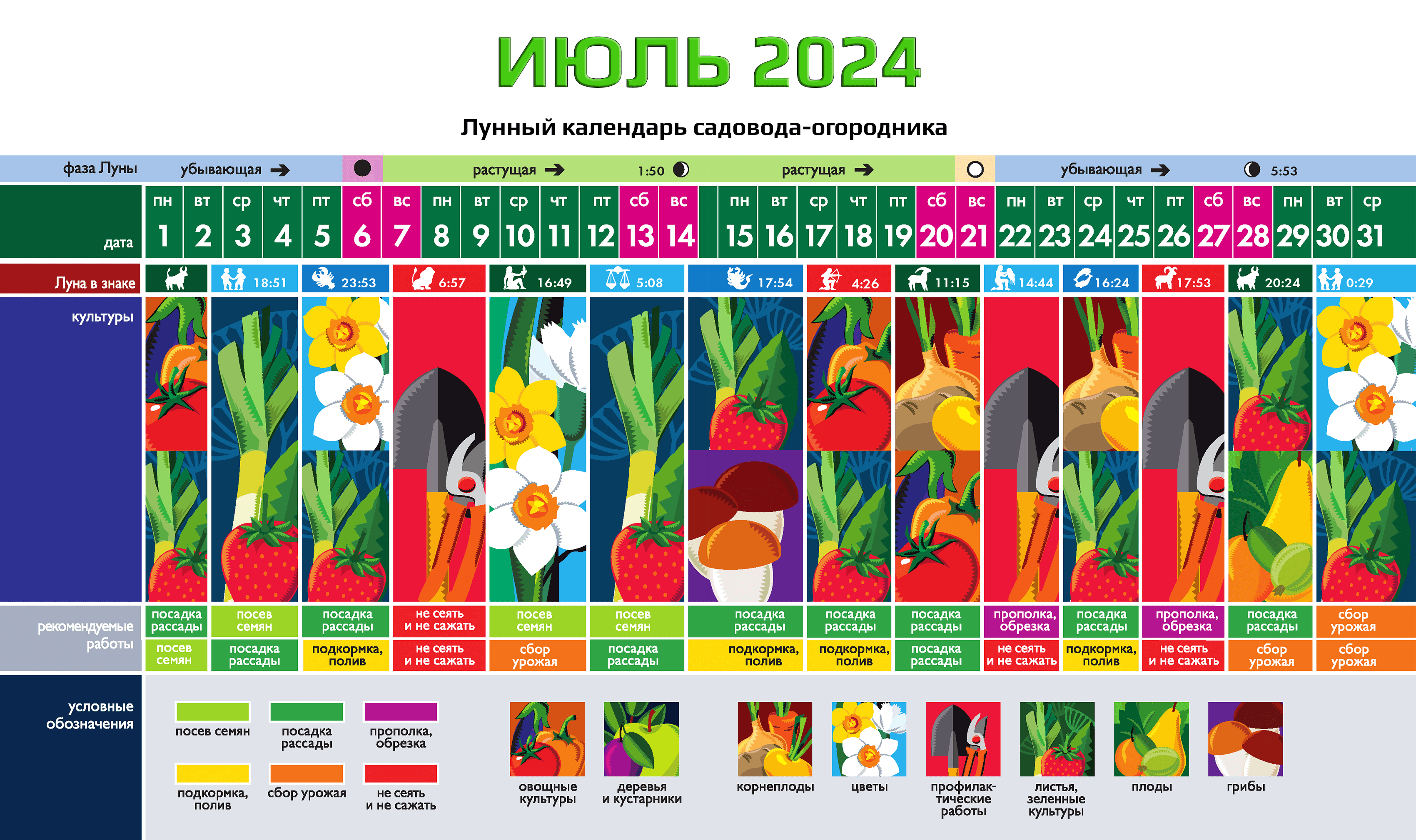 Лунный календарь комнатных растений и цветов на июль 2024 года