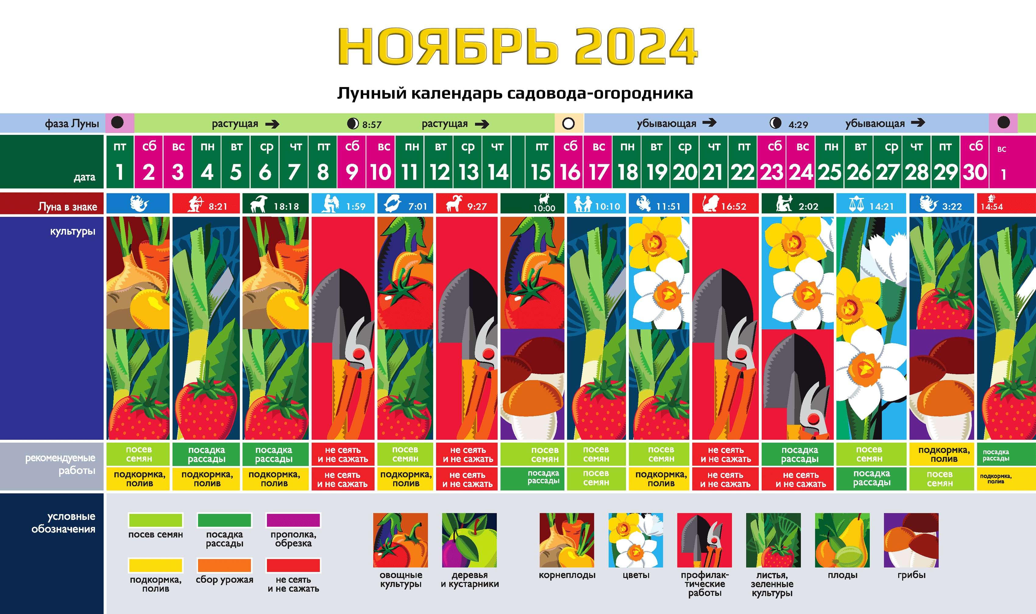 Лунный календарь комнатных растений и цветов на ноябрь 2024 года