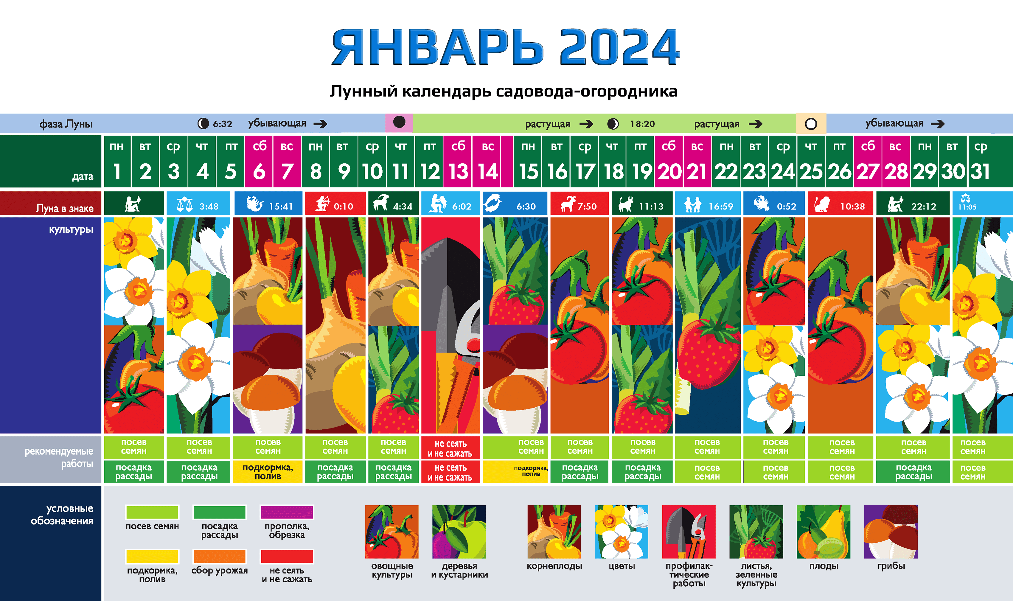 календарь цветовода на 2024 комнатные растения