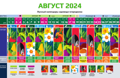 Календарь садовода-огородника на АВГУСТ 2024