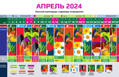 Календарь садовода-огородника на АПРЕЛЬ 2024