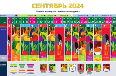 Календарь садовода-огородника на СЕНТЯБРЬ 2024