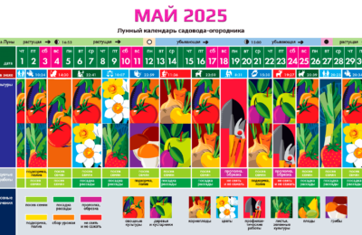 Май 2025 – календарь садовода, огородника и цветовода