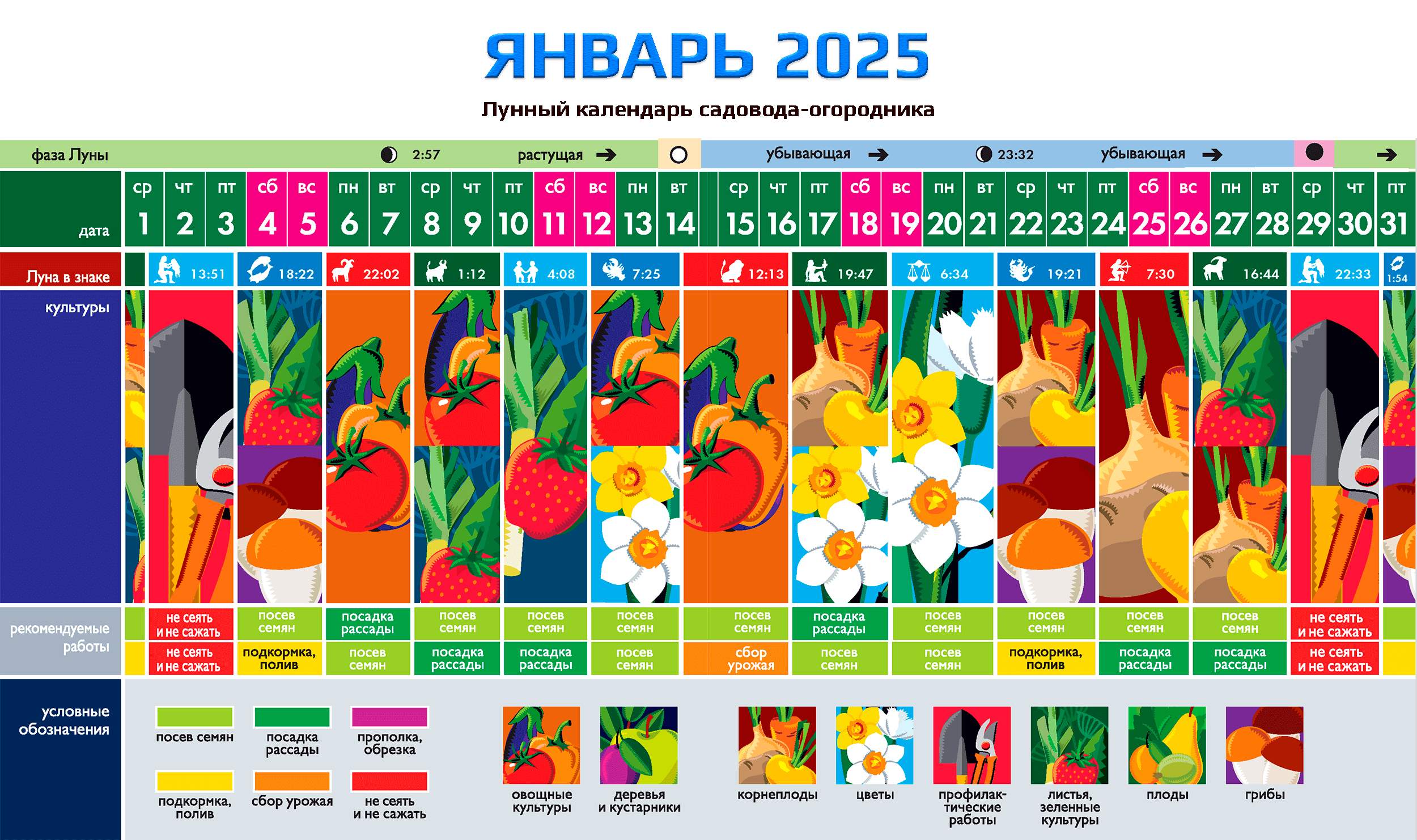 Январь 2025 – календарь садовода, огородника и цветовода